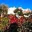 Masseria Cervarolo