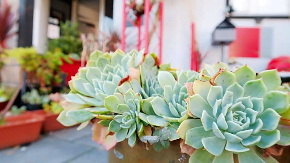 New Norfolk Junction Motel