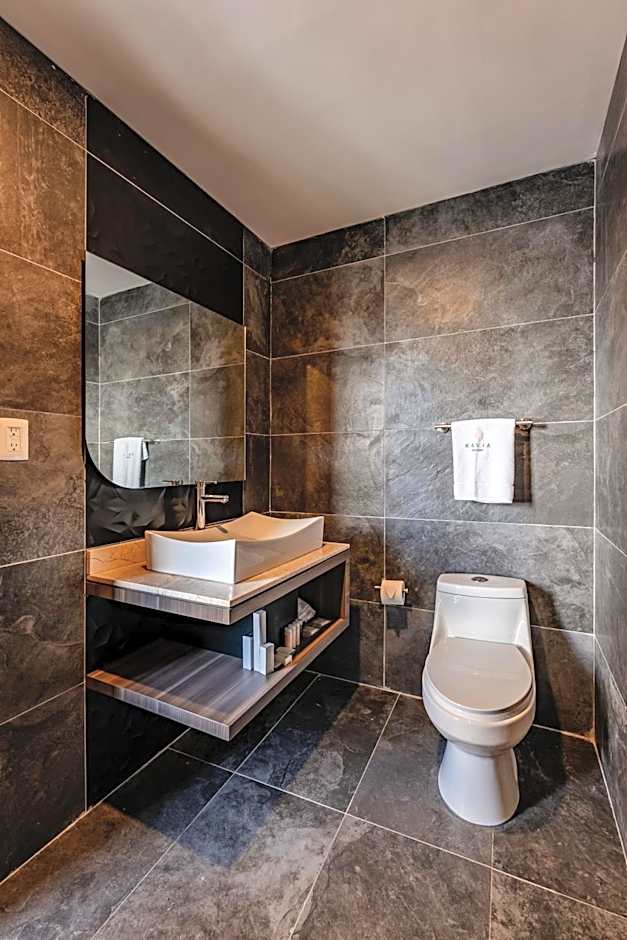Hotel Kavia Premium - Paseo Montejo