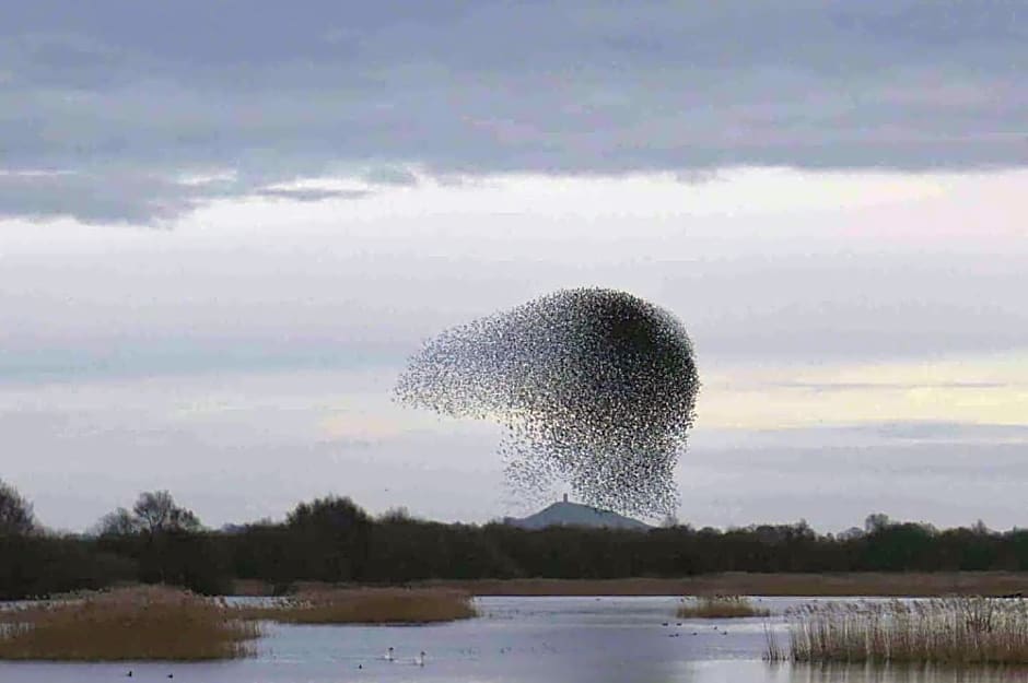 The Potting Shed, self contained, detached retreat in Shapwick village