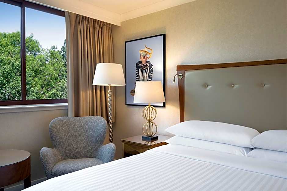 Photo 1 of 4 of Superior 1 King Bed