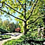 Holiday Inn Express Gütersloh By IHG