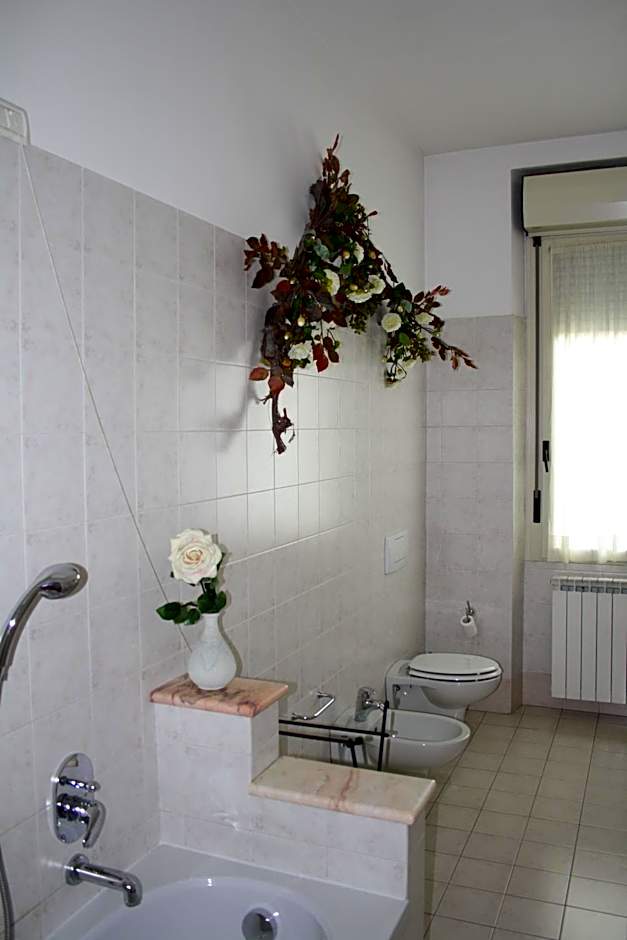 City's House Guest House