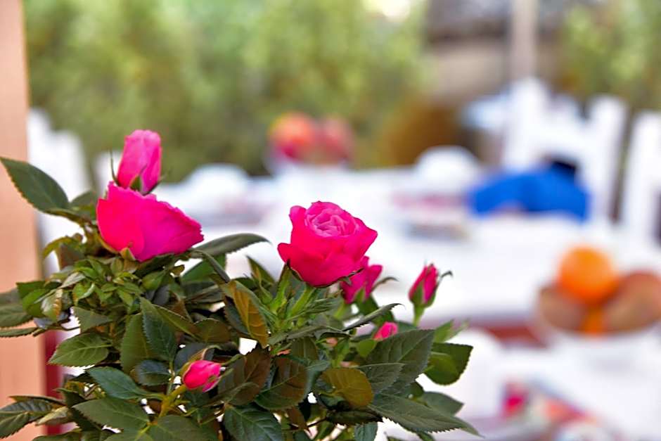 Quodlibet Guesthouse