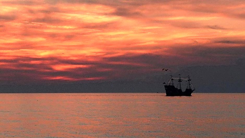 Beach Palms- Unit 102