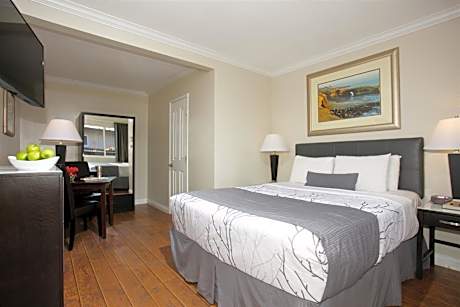 Pet friendly Courtside Room with 1 Queen Bed