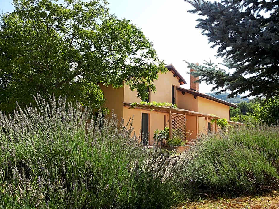 B&B Antegiano
