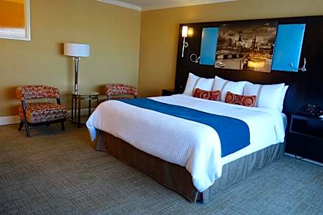 Deluxe King Room with One King Bed