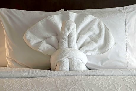 2 Queen Hearing Accessible Room