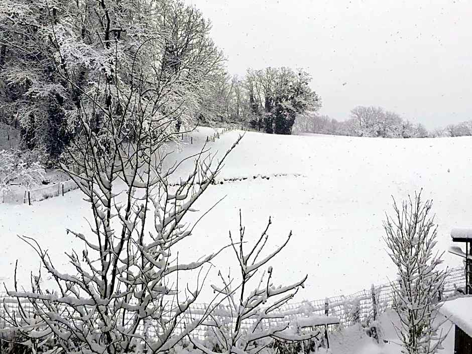 Le Lodge du Pichat