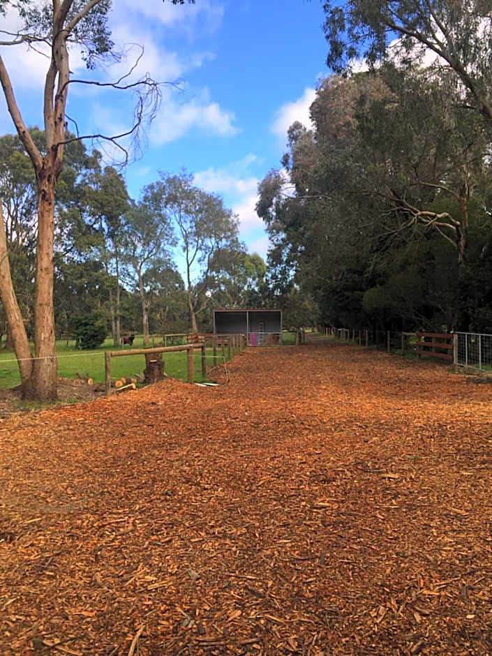 Sherwood Park bed and breakfast