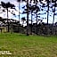 Cabanas das Araucárias