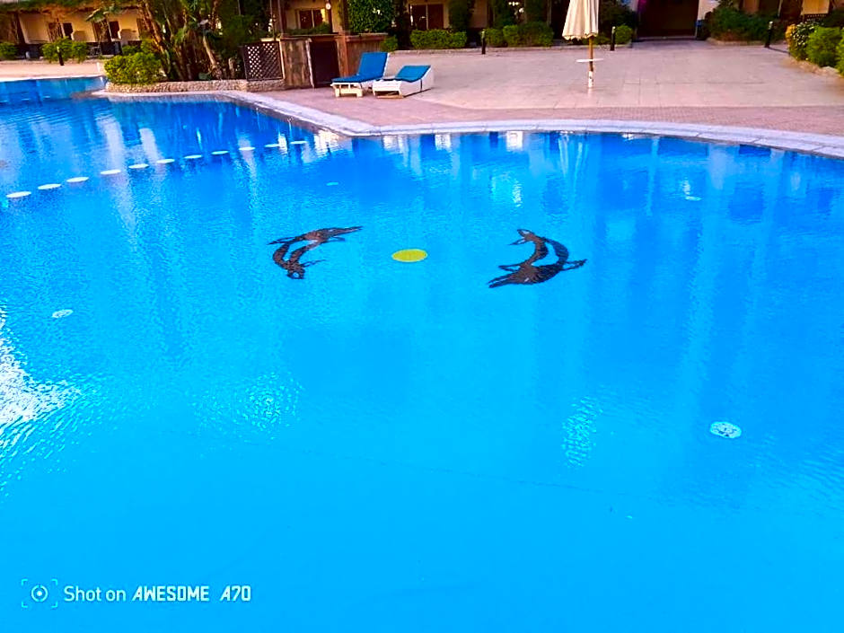 Florenza khamsin compound unit g4