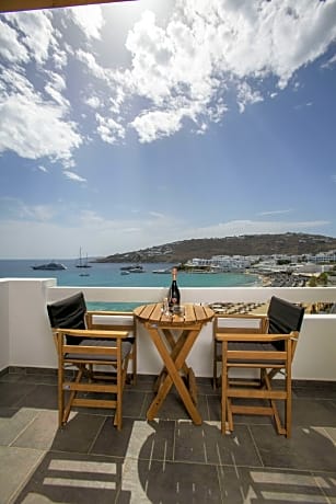 Executive Room (1 King Bed)