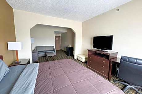 Premium King Bed with Pull Out Sofa