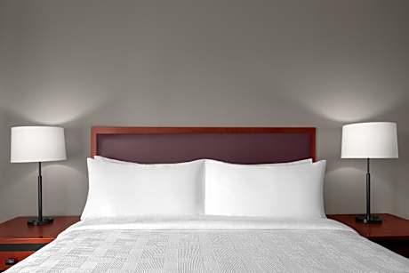 Studio Suite - Queen Bed