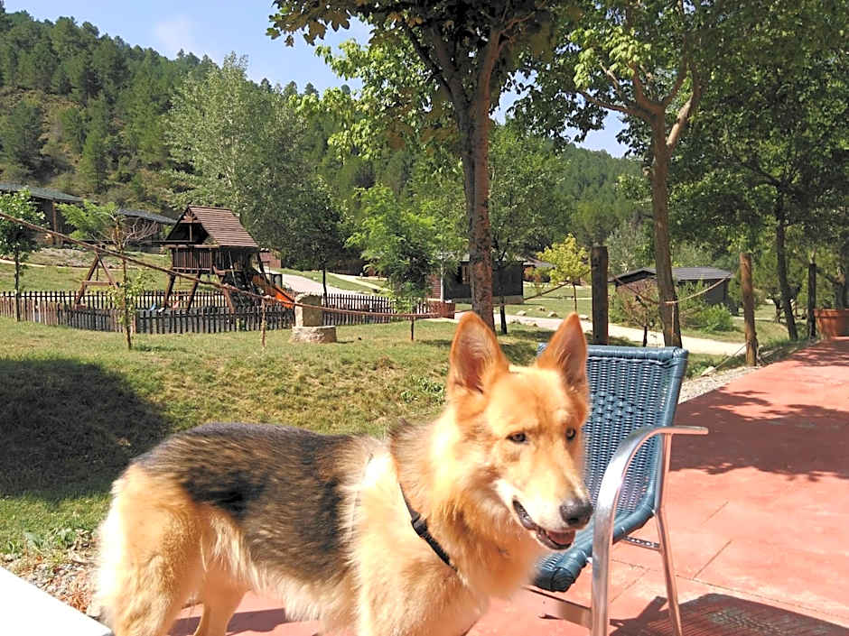 Cabañas de Javalambre