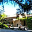 Mas Grimaud - Gîte- Studio et chambres d'hôtes familiales