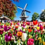 ibis Styles Amsterdam Airport