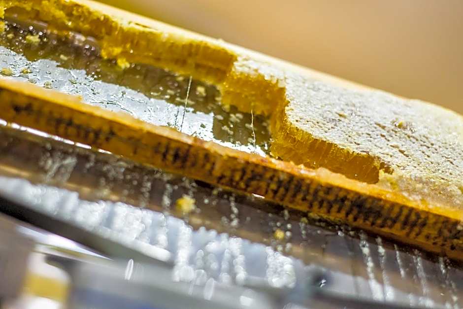 Udalla Park - Hotel & Apartamentos