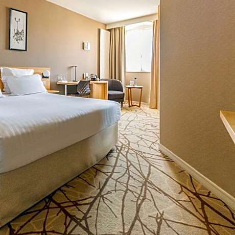 Superior Queen Room