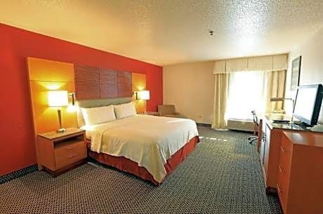 1 King Bed Deluxe Suite Smoking