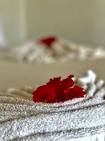 Deluxe Double Room with Balcony and Sea View