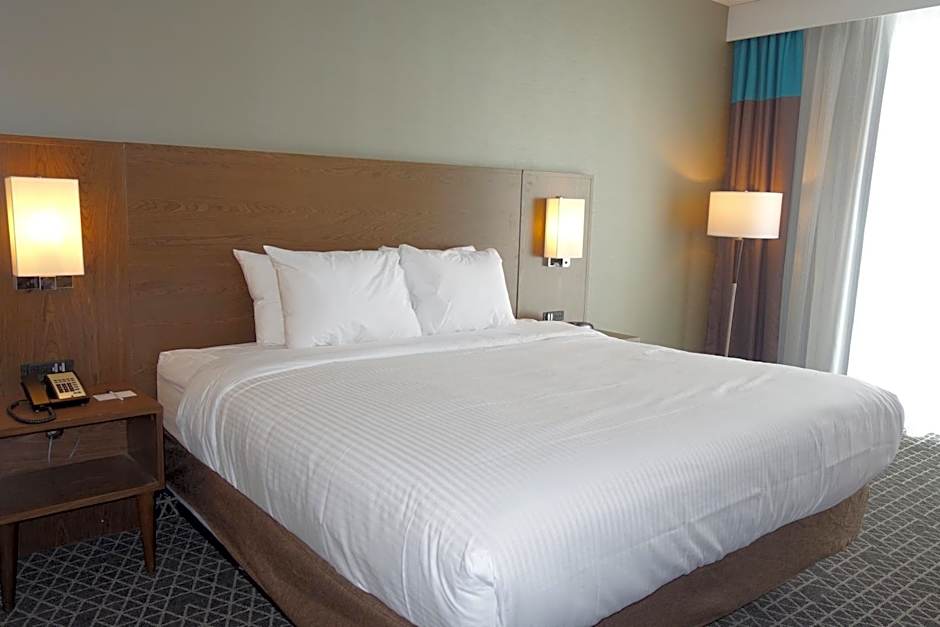 Park Inn by Radisson Brampton, ON