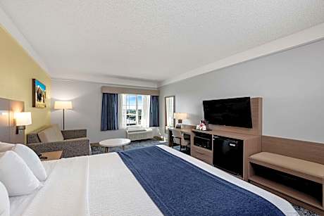 1 King Bed Non-Smoking Larger Room Sofabed Sitting Area Microwave Fridge Wi-Fi Full Breakfast