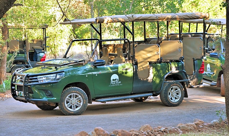 Black Rhino Game Lodge