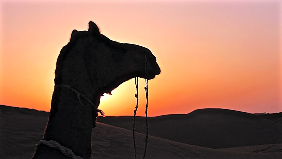 Damodra Desert Camp