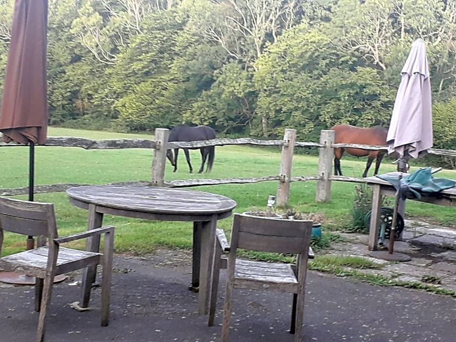 Moaps Farm B&B support small business, welcome, check in from 5 pm