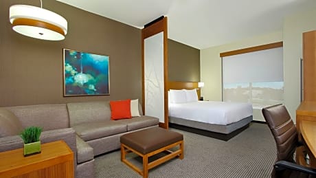 King Room with Sofa Bed and Roll-In Shower - Disability Access