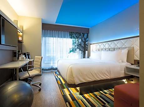 1 King Bed Standard Comm Access