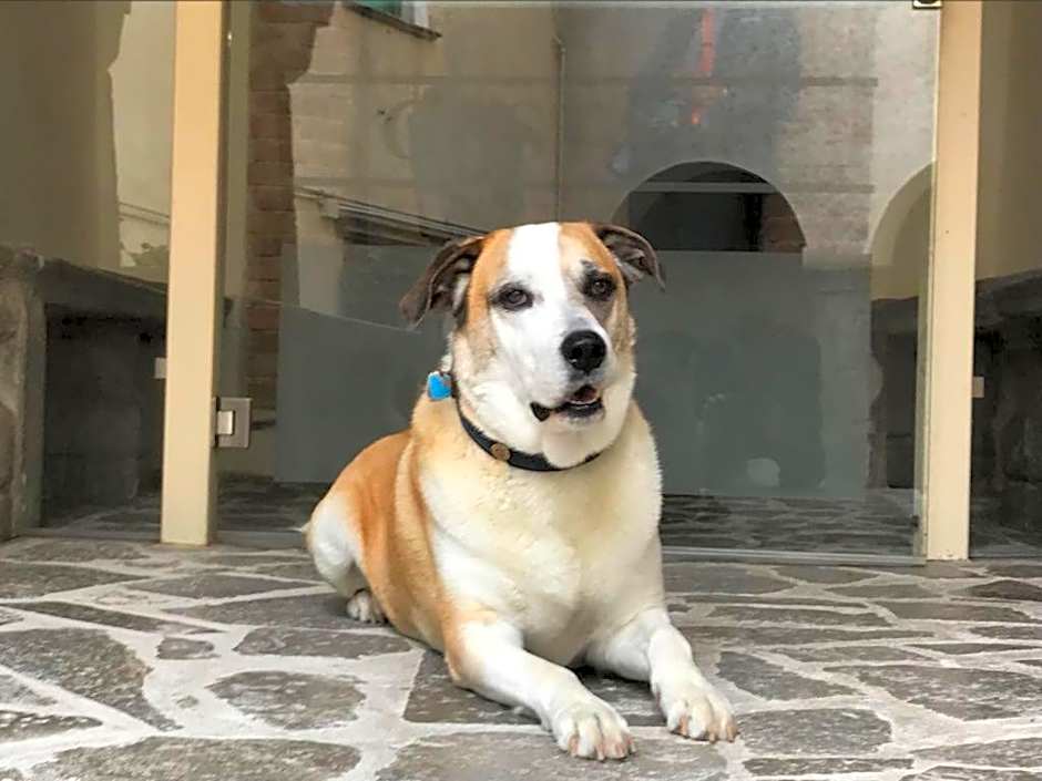 Palazzo Cestari Hotel