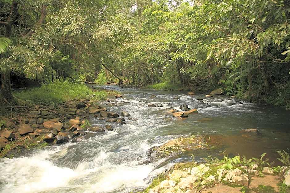 Tropical Bliss bed and breakfast