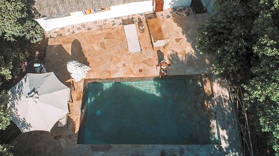 The Island - Pongwe Lodge