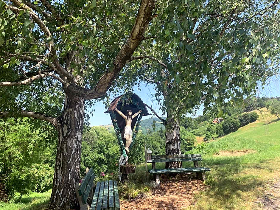 Koschak Wirt & Weinbauer