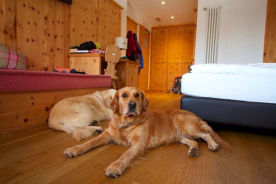 Hotel Shandranj