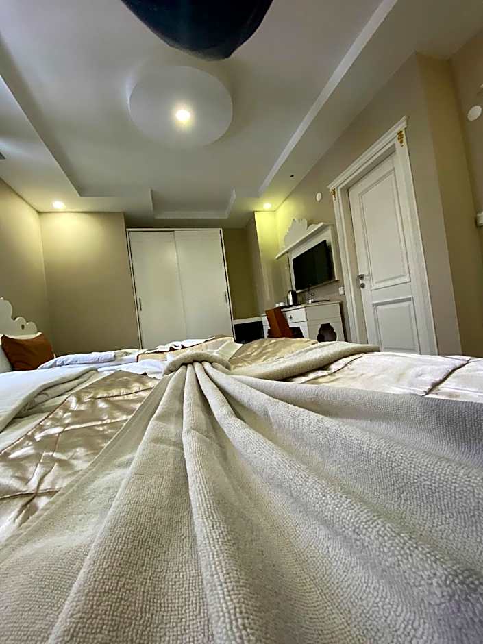 Hotel Kent Ani
