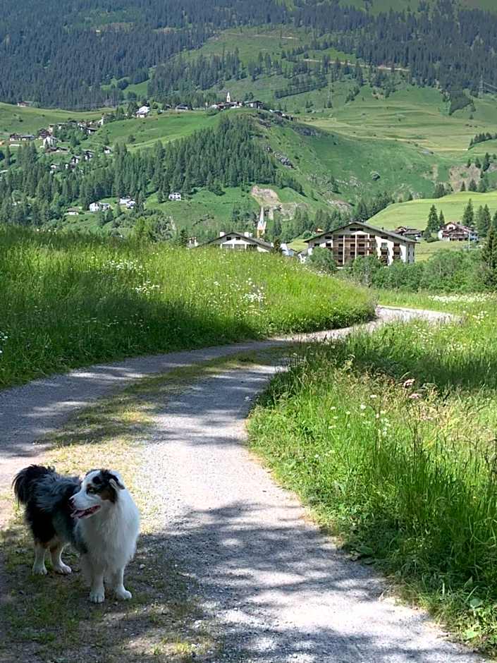 Bed and Breakfast Darlux