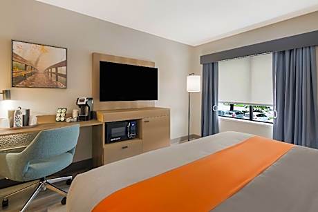 1 King Bed, Nonsmoking, Accessible