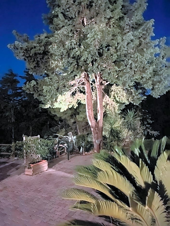 Amore a prima vista b&b