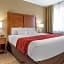 Comfort Inn & Suites Near Mt. Rushmore