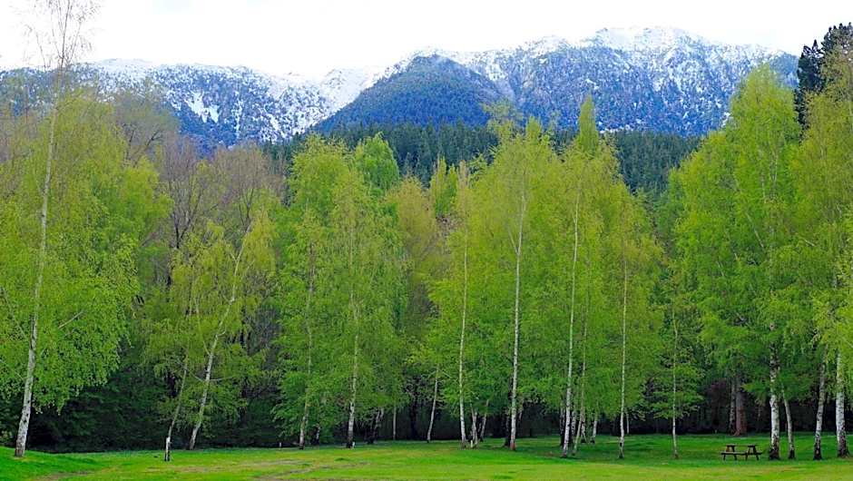 Hanmer Springs Forest Camp Trust