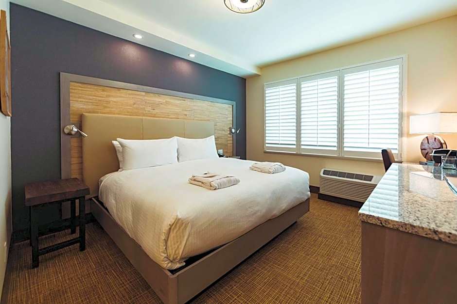 Tailwater Lodge Altmar Tapestry Collection by Hilton