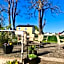 Arena Hotell