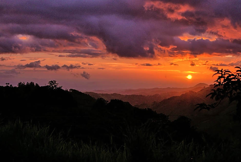 Hotel Ficus - Monteverde