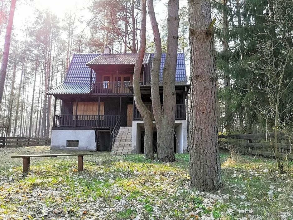 Warchały near Szczytno, RUSTIC LODGE at Lake