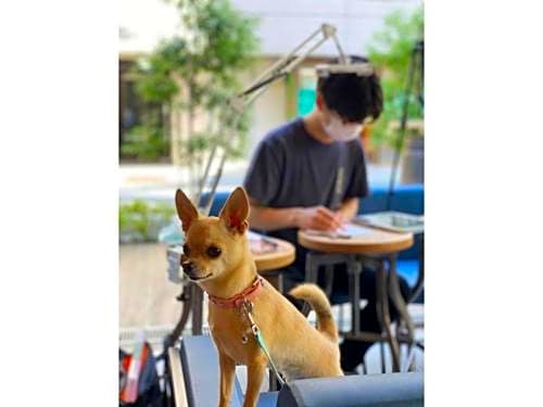 ICI HOTEL Asakusabashi - Vacation STAY 69309v
